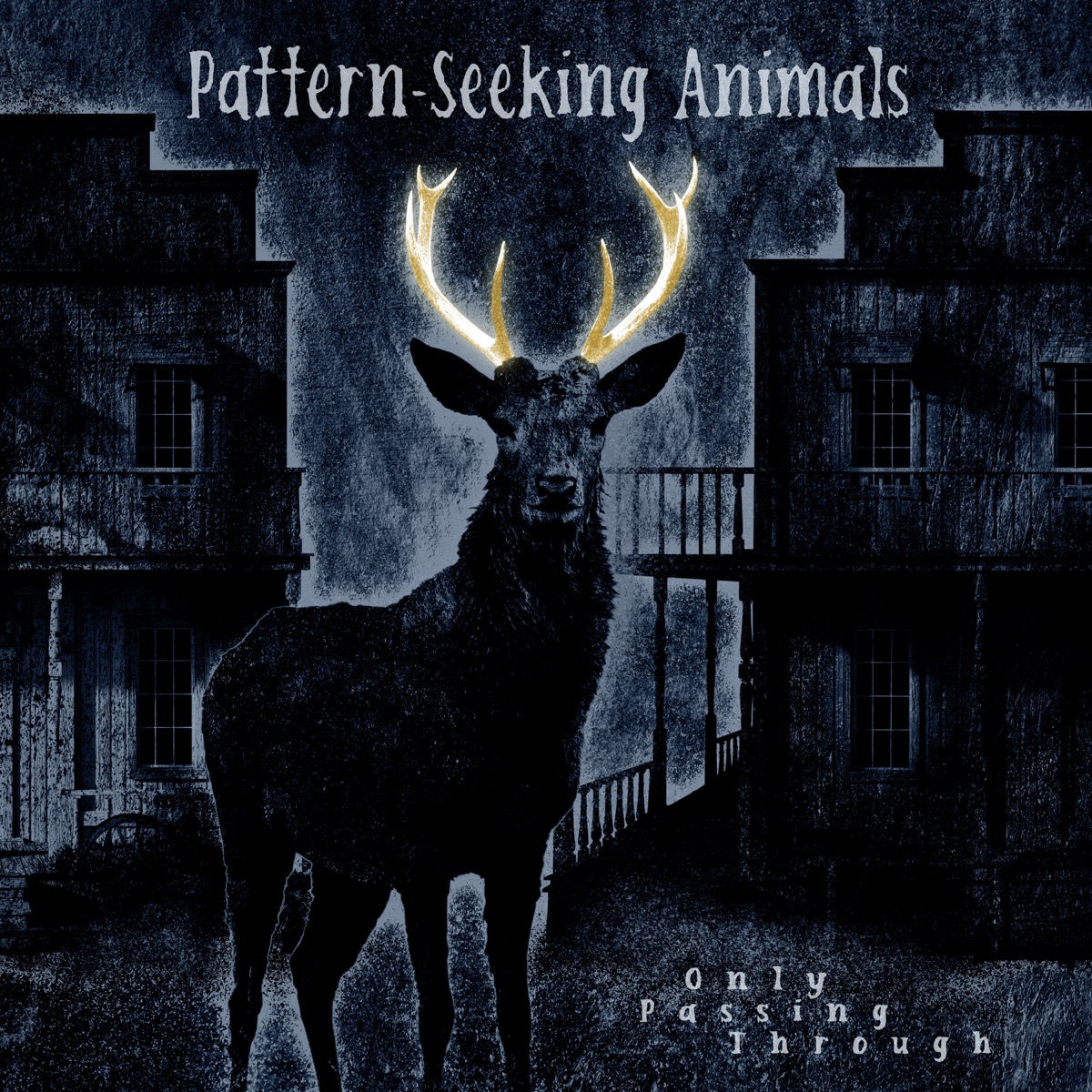 Pattern-SeekingAnimals_OnlyPassingThrough