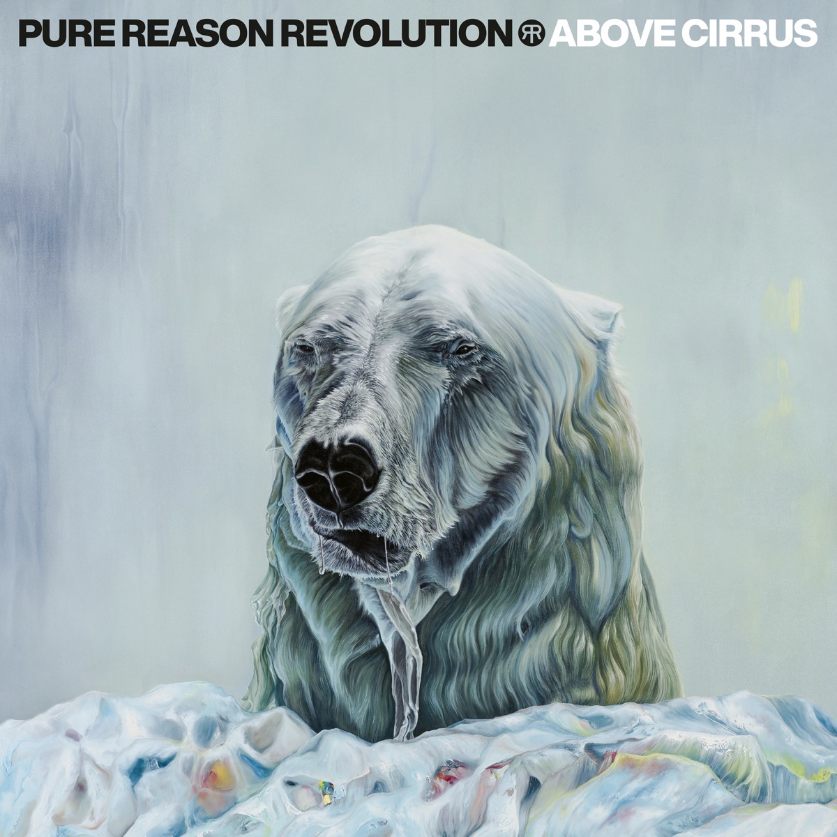 PureReasonRevolution_AboveCirrus