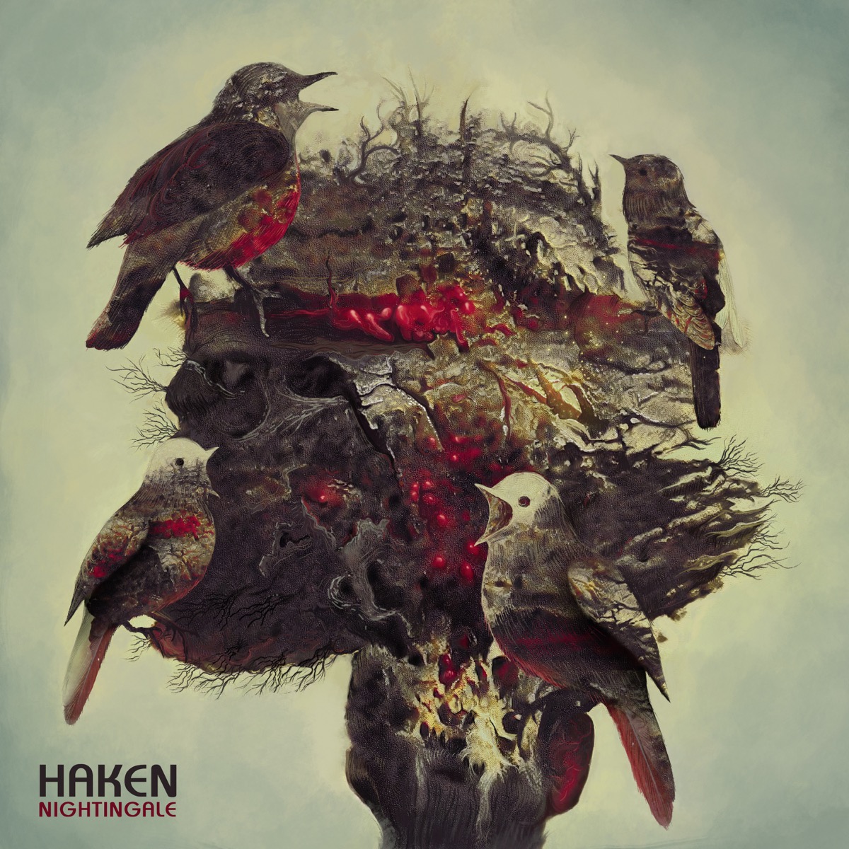 Haken_Nightingale_Single