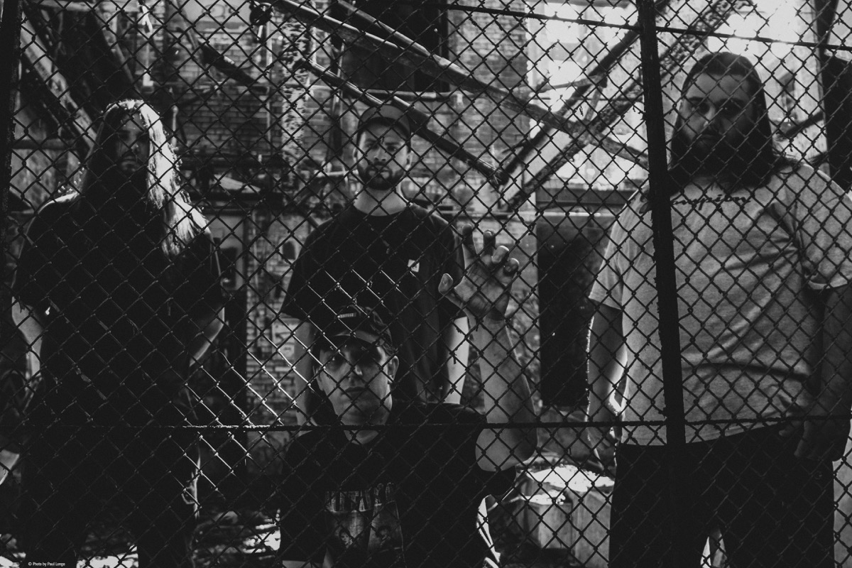 VF_Band2_Credit_PaulLongo